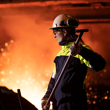 STANDARDS Link-Standards