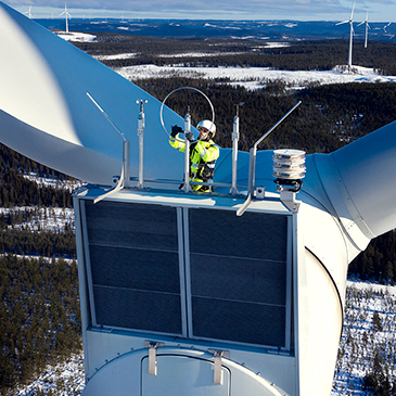 RISK ASSESSMENT Links-Riskassessment